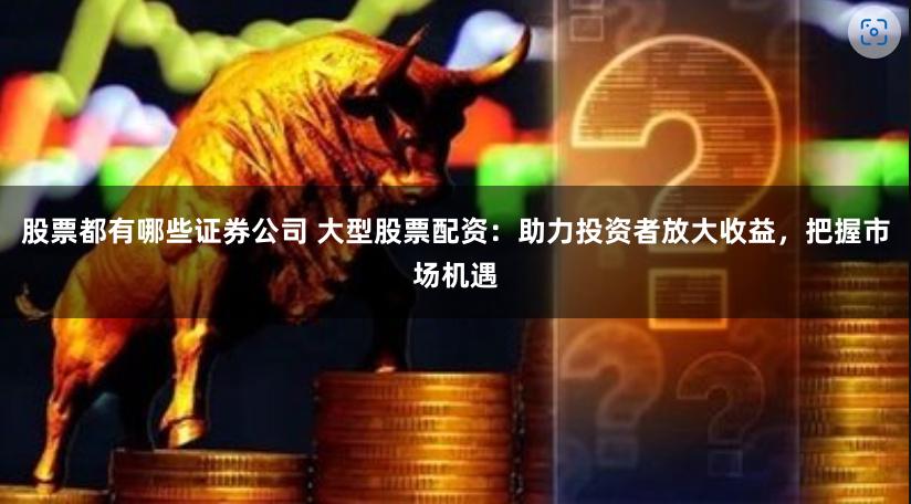股票都有哪些证券公司 大型股票配资：助力投资者放大收益，把握市场机遇
